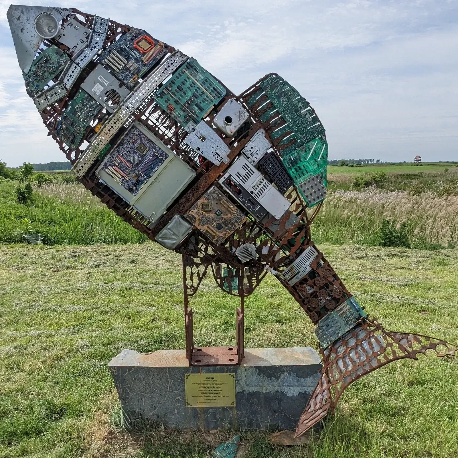 Fish & chips anyone?